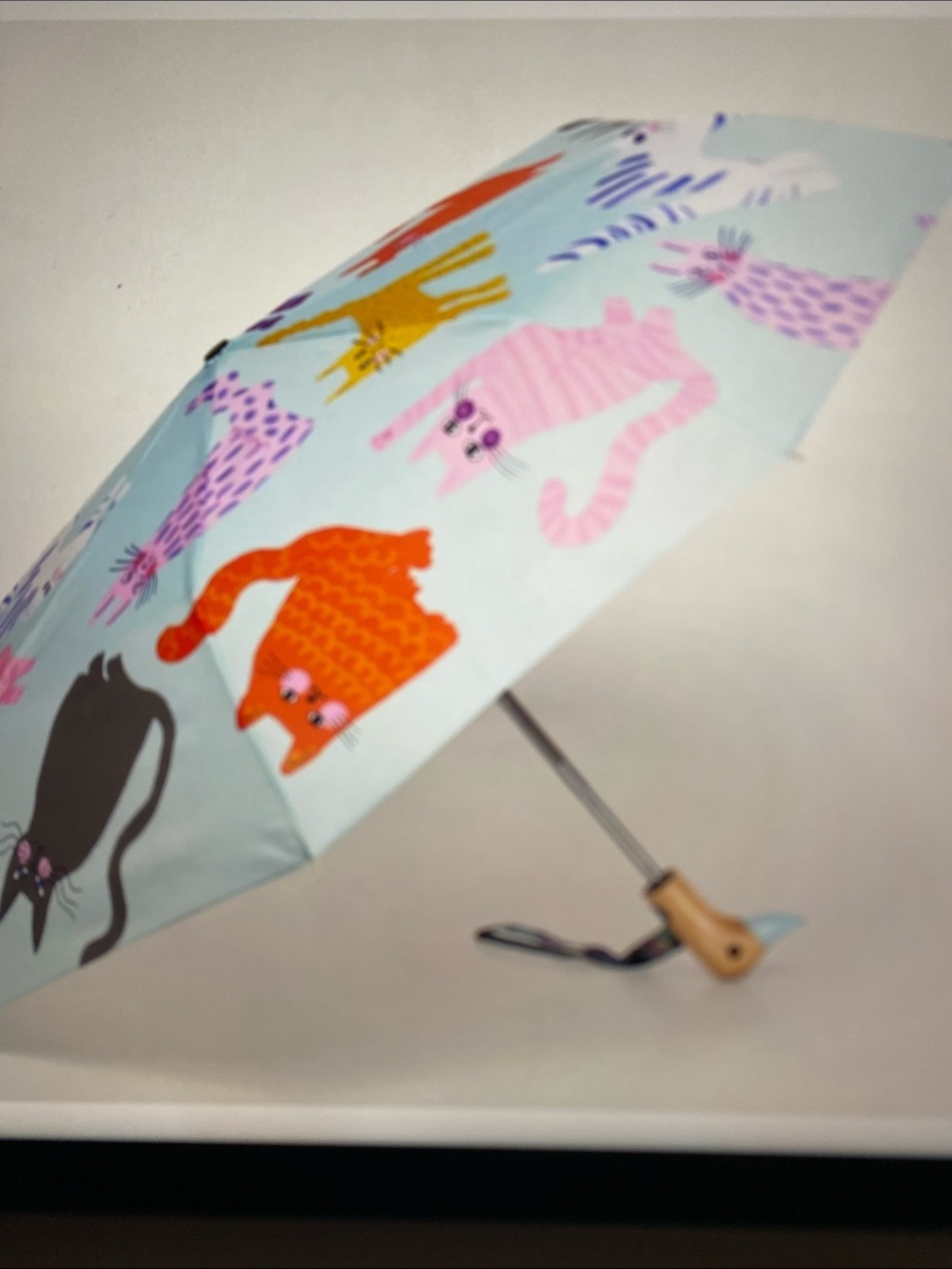 Duck Head Light Blue Cat Print Foldable Umbrella Brand New